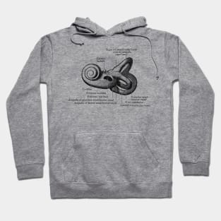 Inner Ear Anatomy Diagram Hoodie